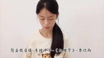 随州市-随县殷店镇东坡中学-《红楼梦》-李欣雨