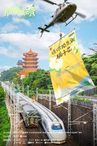 武汉10万朵栀子花免费送，周末见！