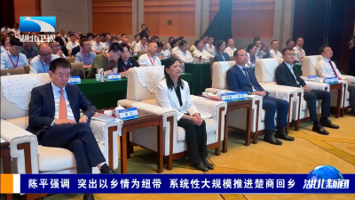 陈平强调 突出以乡情为纽带 系统性大规模推进楚商回乡