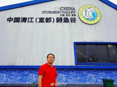 探访宜都清江鲟鱼谷：解码生态与产业的共生新篇