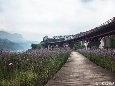 江水为证：从民族脊梁到时代浪尖，宜昌这八十年