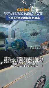 真假难辨！这条湖北造仿生鱼获牛津大学院士点赞