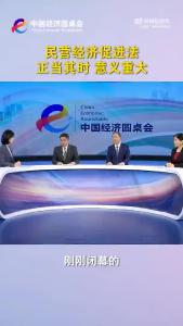 “中国经济圆桌会” | 民营经济促进法—正当其时，意义重大