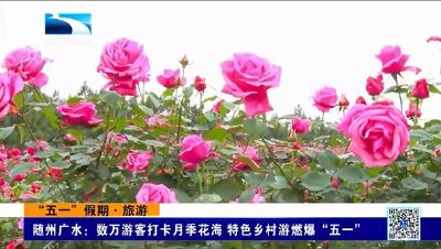 随州广水: 数万游客打卡月季花海 特色乡村游燃爆五一