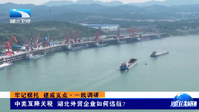 牢记嘱托 建成支点·一线调研丨中美互降关税  湖北外贸企业如何远航？