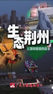 生态荆州