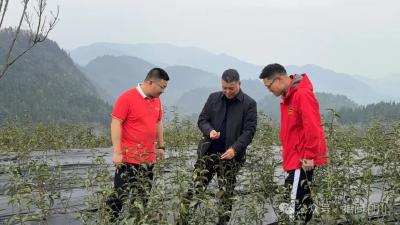 三位劳模三条产业链！利川用“劳模精神”赋能乡村振兴