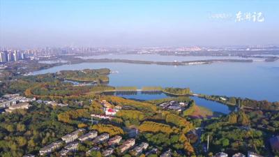 外籍体验官打卡湖北省博：VR体验青铜文明 化身讲解员介绍文物