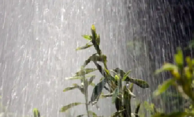气温跌至“1”字头！明晚起新一轮降雨降温开启 