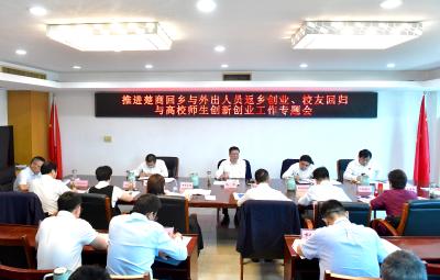杨军专题研究推进楚商回乡与外出人员返乡创业等工作 为高质量发展构筑坚实微观经济基础