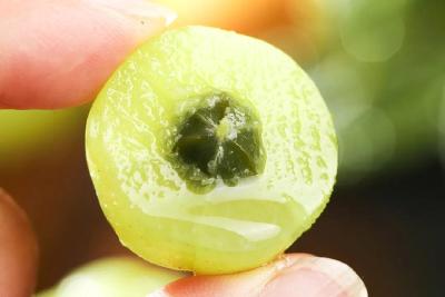 这种水果维生素C含量是橙子的近8倍 也被誉为“刮油神器”