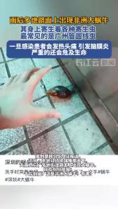 雨后遇到这种大蜗牛，别碰！赶紧远离！