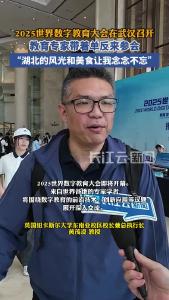 纽卡斯尔大学东南亚校区校长黄茂凌：武汉的热干面和知音号让我念念不忘