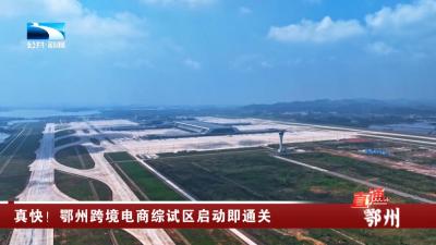 真快！鄂州跨境电商综试区启动即通关