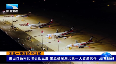 东盟稳居湖北外贸榜首四年 双向奔赴催生合作新空间