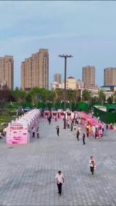 青年力量闪耀时刻！孝感“青耘中国”青年成果展视频来袭
