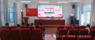 咸宁：心育赋能，守护校园心理防线——崇阳县中小学心理健康教育班主任培训
