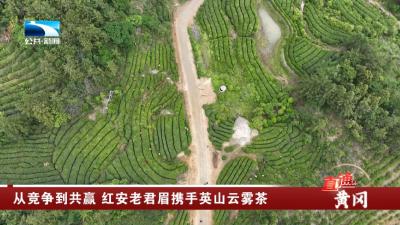从竞争到共赢 红安老君眉携手英山云雾茶