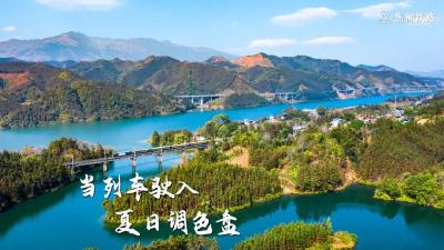 绝美！当列车驶入夏日调色盘
