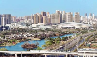 樱花为媒聚天下 支点建设正当时