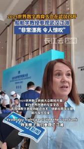 克罗地亚学者：武汉江滩美景令人惊叹