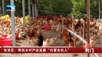 荆门东宝区：寻找乡村产业发展“共富合伙人”