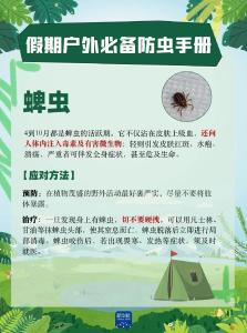 假期户外游玩，小心“微型刺客”！ 