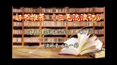 随州市-随县草店镇中心小学-《三毛流浪记》-赵一赫