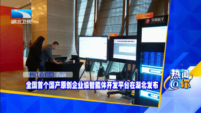 全国首个国产原创企业级智能体开发平台在湖北发布