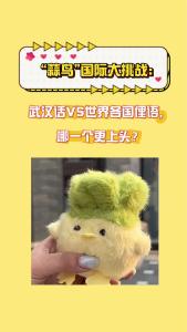 蒜鸟国际大挑战：武汉话VS世界俚语，哪一个更上头？