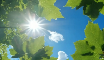 湖北发布高温黄色预警，局地可达37℃