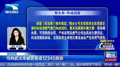 帮女郎热线回复