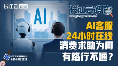 AI客服24小时在线，消费求助为何有路行不通？丨长江云调查