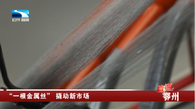 鄂州：“一根金属丝” 撬动新市场