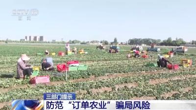 如何防范“订单农业”骗局风险？三部门手把手教你