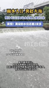 雨水入江 奔赴大海 长江汉口站水位预计将上涨近一米