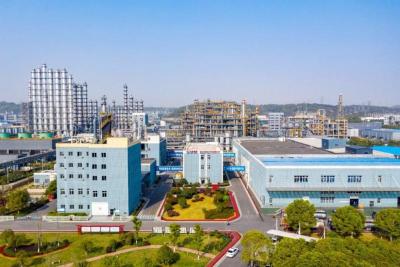 峡江破浪，开放型经济“闯深蓝”——宜昌培育开放型经济新动能观察
