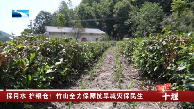 保用水 护粮仓！竹山全力保障抗旱减灾保民生
