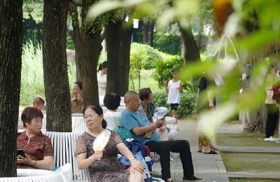 局地地表温度超70℃ 最近为啥这么热？