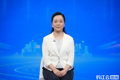 专访湖北省委金融办常务副主任、省地方金融管理局局长严宓：金融“活水” 澎湃支点建设新动能