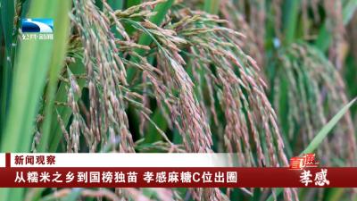 新闻观察 | 从糯米之乡到国榜独苗 孝感麻糖C位出圈