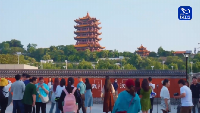 牢记嘱托 建成支点·厅局长访谈