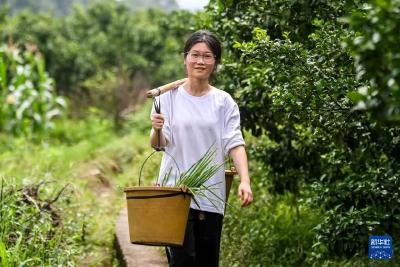 用AI对“扁担女孩”下手！善意岂容践踏