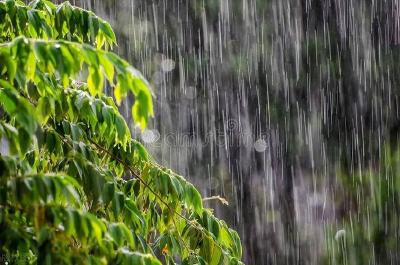 今起三天鄂西南至鄂东北一线强降雨持续，需防范次生灾害发生