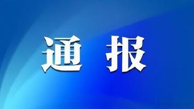 游客在三亚被不明物咬伤后身亡，官方通报：已成立调查组
