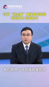中国经济圆桌会｜打好“组合拳”确保各项政策同向发力 形成合力