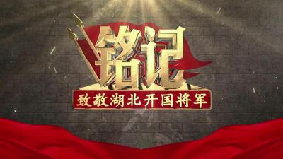 致敬湖北开国将军｜虎将军·徐海东