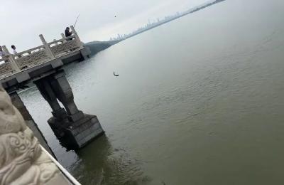 东湖又现奇观，不少市民这样做！紧急提醒