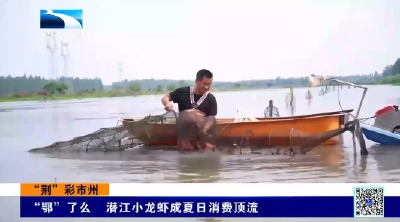 “鄂”了么  潜江小龙虾成夏日消费顶流