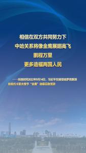 习主席的丝路故事——听习主席和中亚好伙伴话合作丨 “中哈关系将像金鹰展翅高飞”